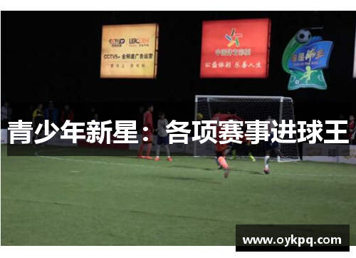 青少年新星：各项赛事进球王
